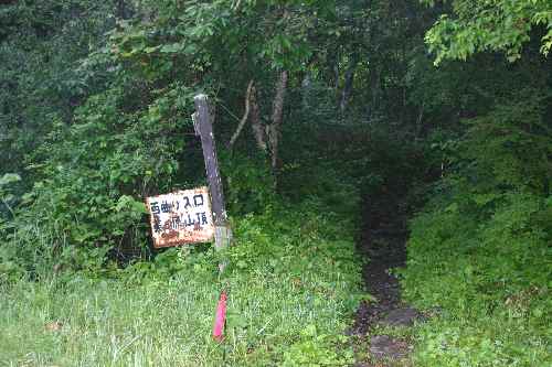 登山道を辿り美ヶ原へ