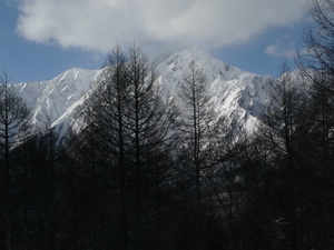 雪崩講習会