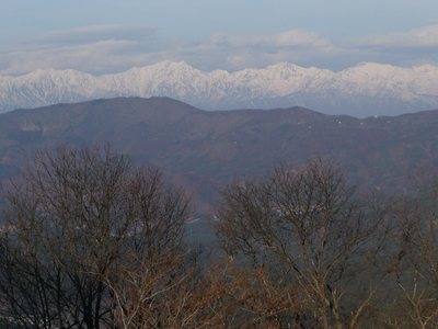 今日の散歩・大林山