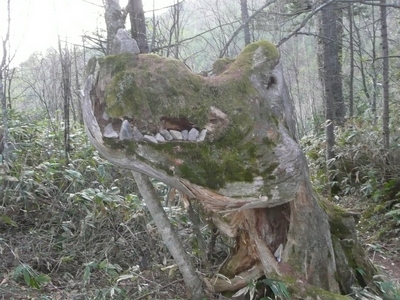 槍・穂高を眺めに蝶ヶ岳へ