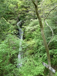 乙女渓谷滝巡り・小秀山