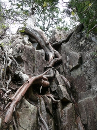 乙女渓谷滝巡り・小秀山