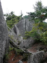 有明山下見登山