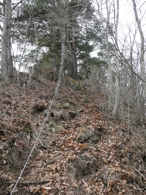 今日の山歩・虚空蔵山～