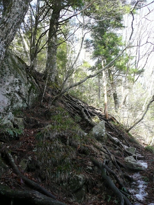 今日の山歩・風越山～