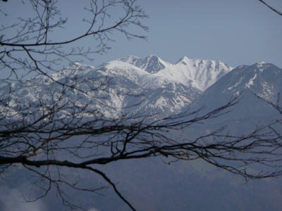 今日の山歩・風越山～