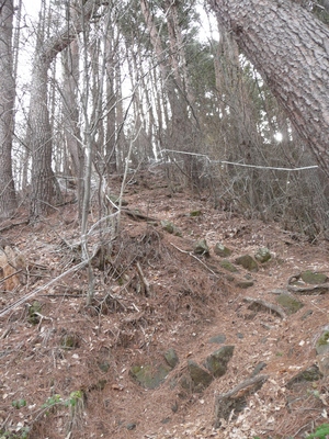 今日の山歩・高烏谷山～