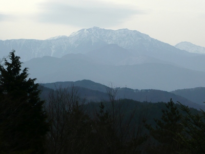 今日の山歩・高烏谷山～