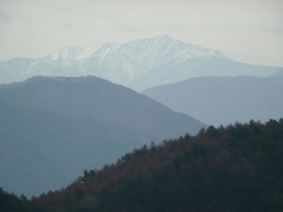 今日の山歩・高烏谷山～