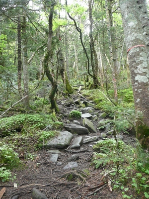 花の百名山＆日本百名山～