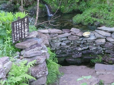 梅雨明け山行・天狗岳～