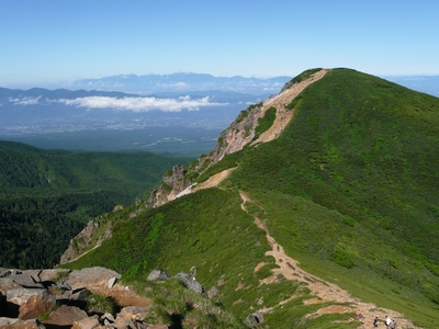 梅雨明け山行・天狗岳～