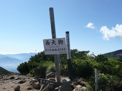 梅雨明け山行・天狗岳～