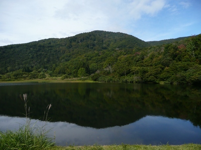 ブナの森へ・鍋倉山～