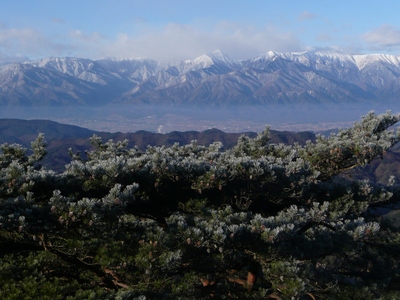 今日の山歩・虚空蔵山～