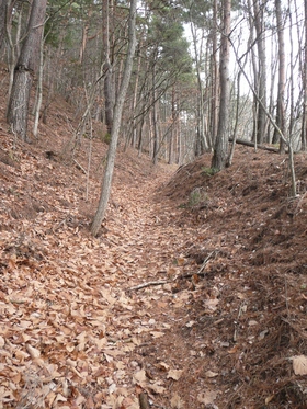 今日の山歩・田沢城跡・光城山～