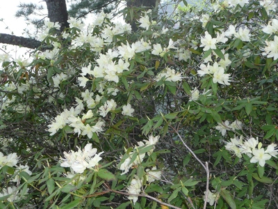 ＧＷ最終日・京ヶ倉～