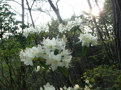 ＧＷ最終日・京ヶ倉～