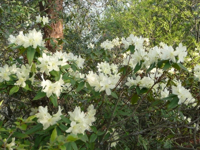 ＧＷ最終日・京ヶ倉～