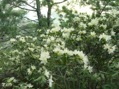 ＧＷ最終日・京ヶ倉～