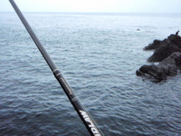 なーんもなし・・・ 2009/06/08 20:41:43