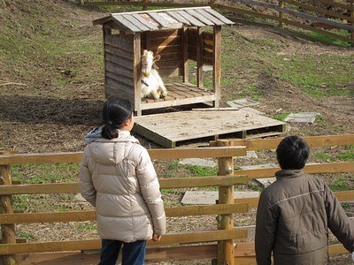 （キャンプレポ）　いなかの風　（長野）　（1日目）