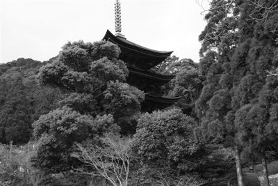 モノクロ初挑戦