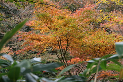 長野山
