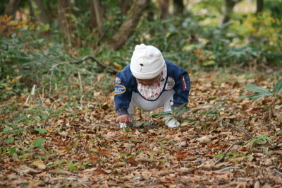 長野山