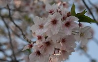 長持ち