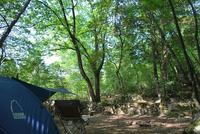 夏　目前キャンプ　　D's　wood 2011/05/16 18:04:08