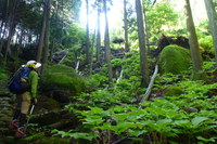 熊野古道　八鬼山越え