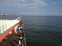 尼崎市立魚釣り公園