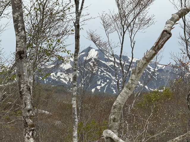 第71回　新緑と残雪の葉山民衆登山のお知らせ