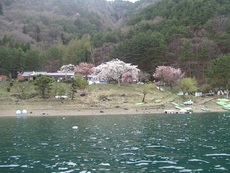 桜前線遠征釣行 2017/04/29 16:38:30