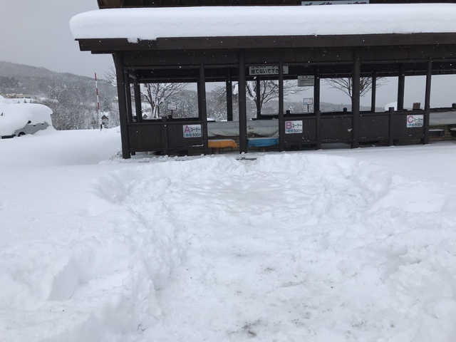 今年初の雪中キャンプ！エルム高原家族旅行村11月25日～26日