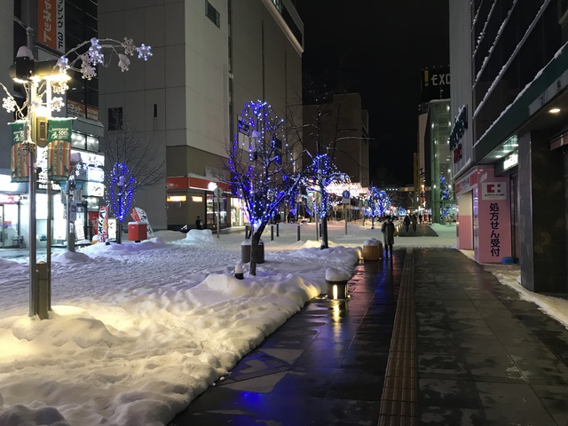 １人でできるもんっ③、女子雪中ソロキャンプ！　12月16日～17日