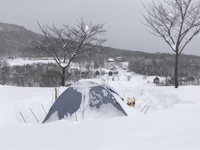 １人でできるもんっ③、女子雪中ソロキャンプ！　12月16日～17日