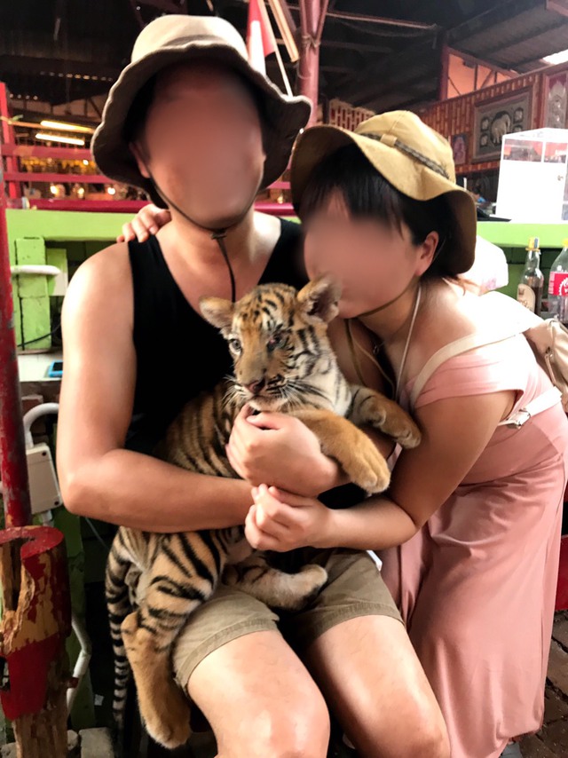 タイに行きタイ②