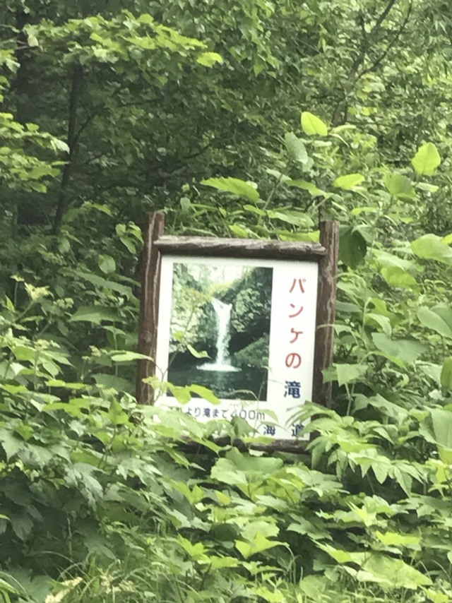カニ！カニ！カニ！日本一のカニまつり！ウスタイベ千畳岩キャンプ場7月2日～3日