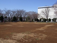 流山市総合運動公園で、のんびりと 2014/03/25 10:03:09
