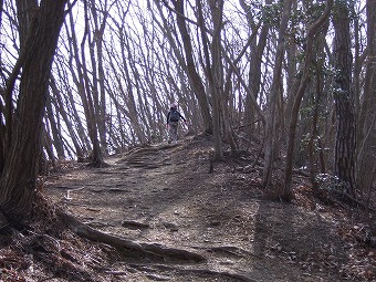 宝登山と秩父アルプス