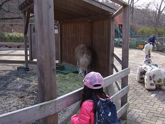 宝登山と秩父アルプス