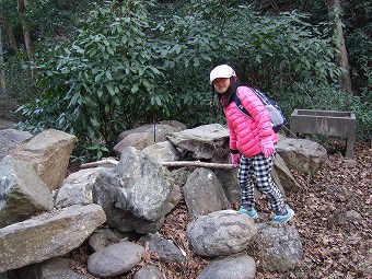 宝登山と秩父アルプス