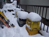関東大雪翌日。子供は元気に雪遊び。 2014/02/10 21:07:58