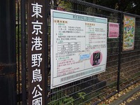 東京港野鳥公園「里地里山フェスティバル」 2014/11/25 16:55:50