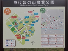 あけぼの山農業公園のチューリップ 2018/04/10 06:23:50
