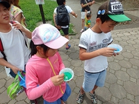 魚（金魚）のつかみ取り＆夜はお祭り。 2015/07/19 13:59:25