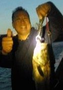 西宮一家とまさひろと雑記