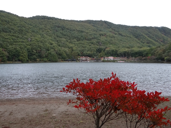 10月キャンプ！四尾連湖龍雲荘キャンプ場